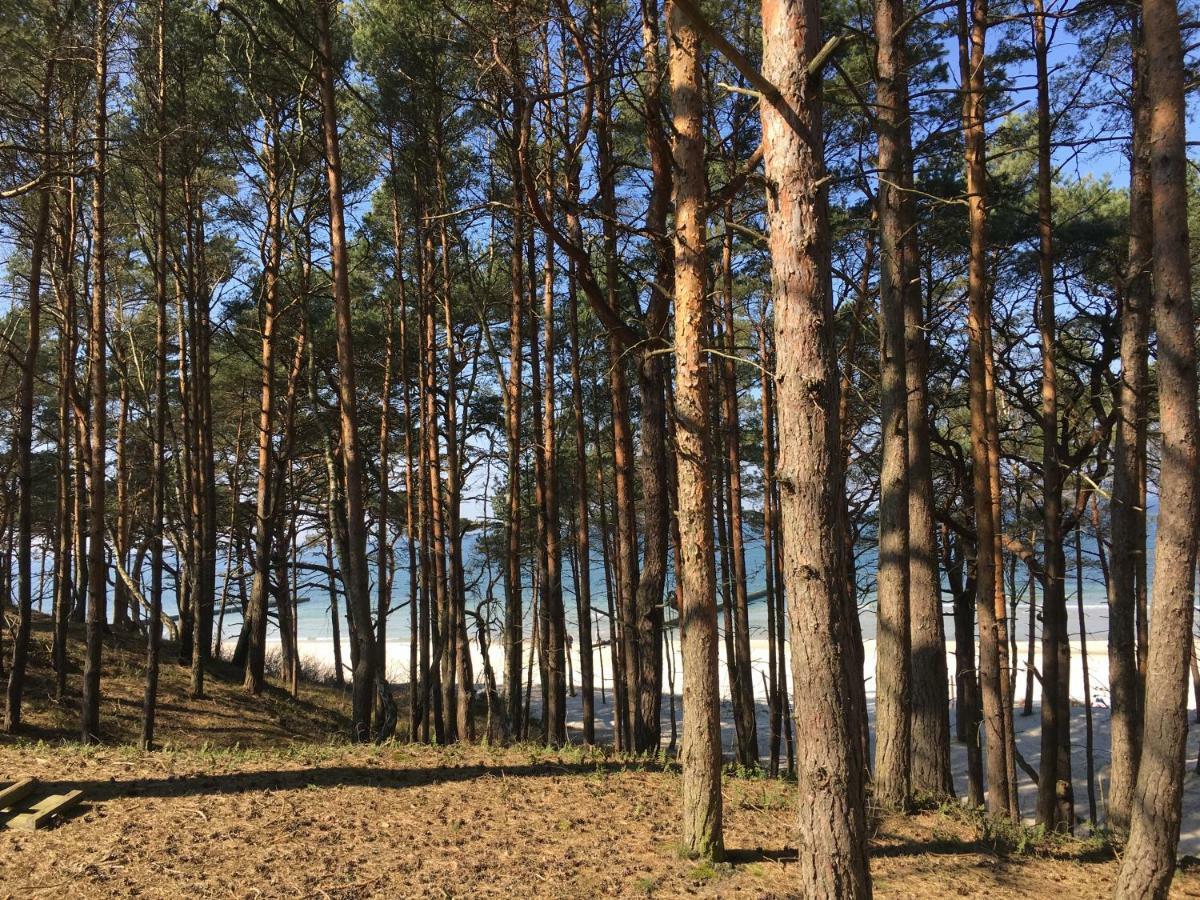 Apartamenty I Pokoje Magnolia Dźwirzyno Dış mekan fotoğraf